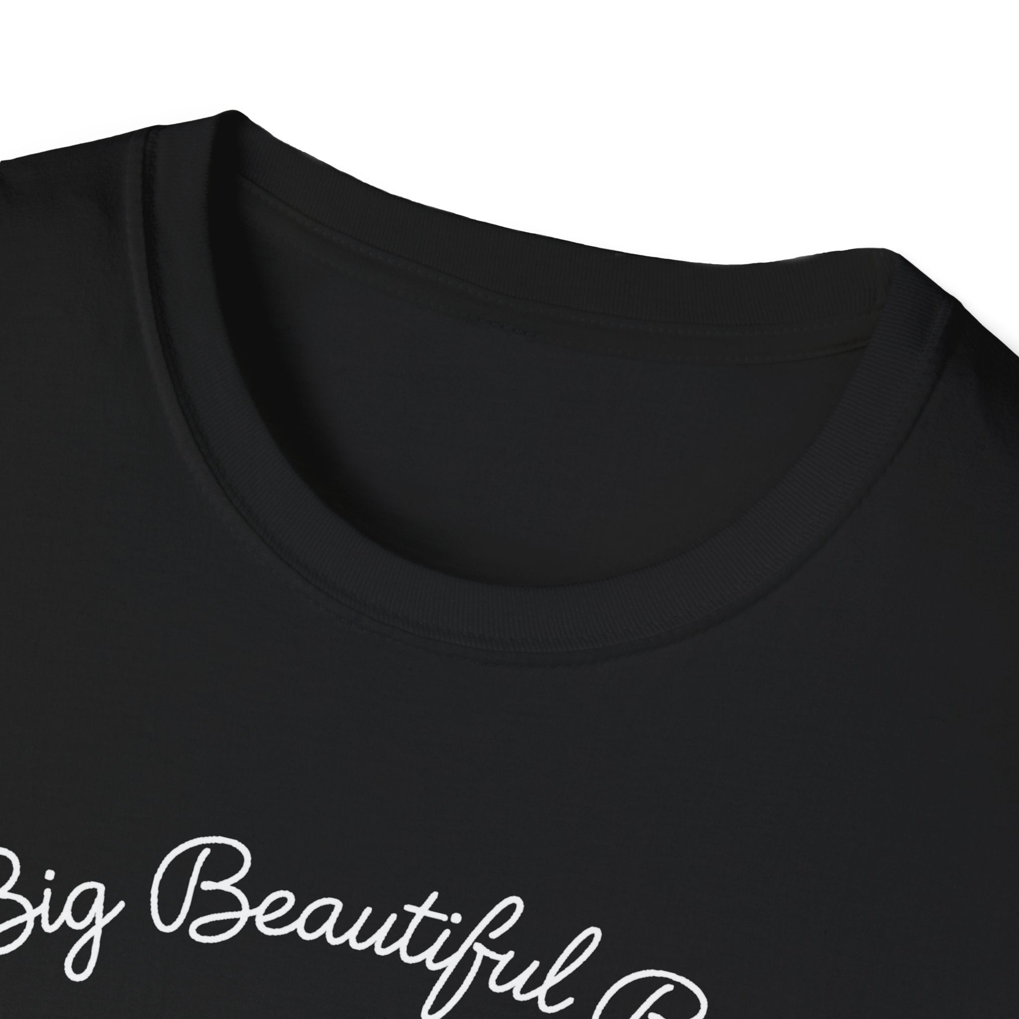 Big Beautiful Bill T-Shirt