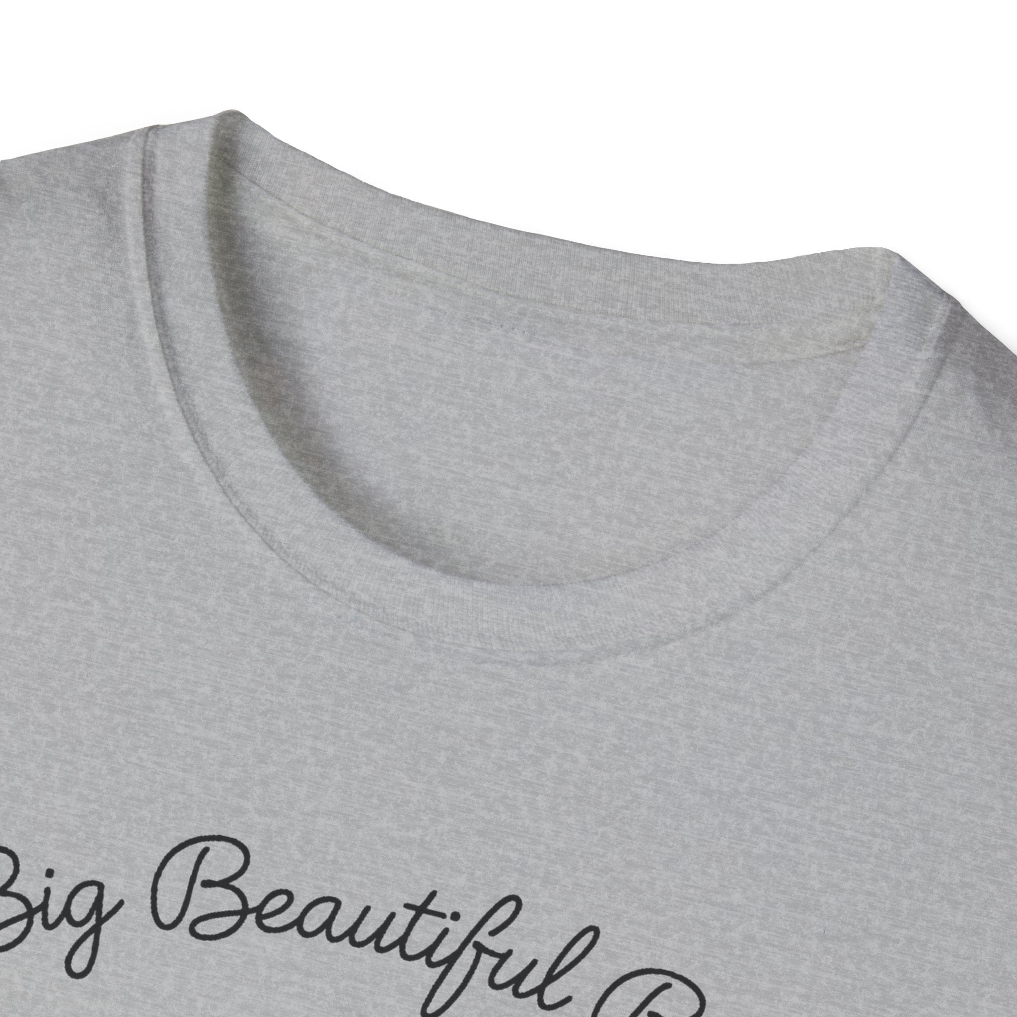 Big Beautiful Bill T-Shirt