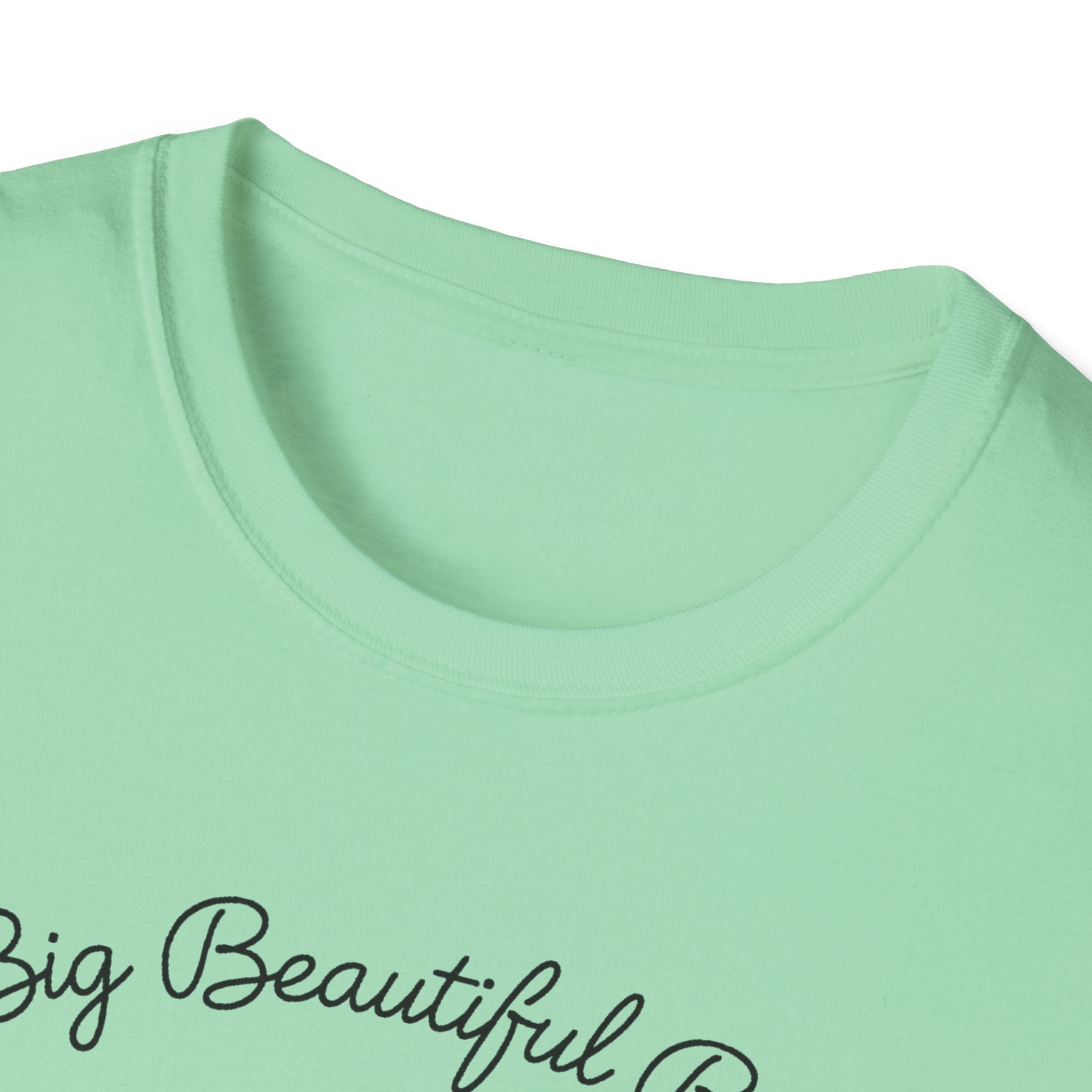 Big Beautiful Bill T-Shirt