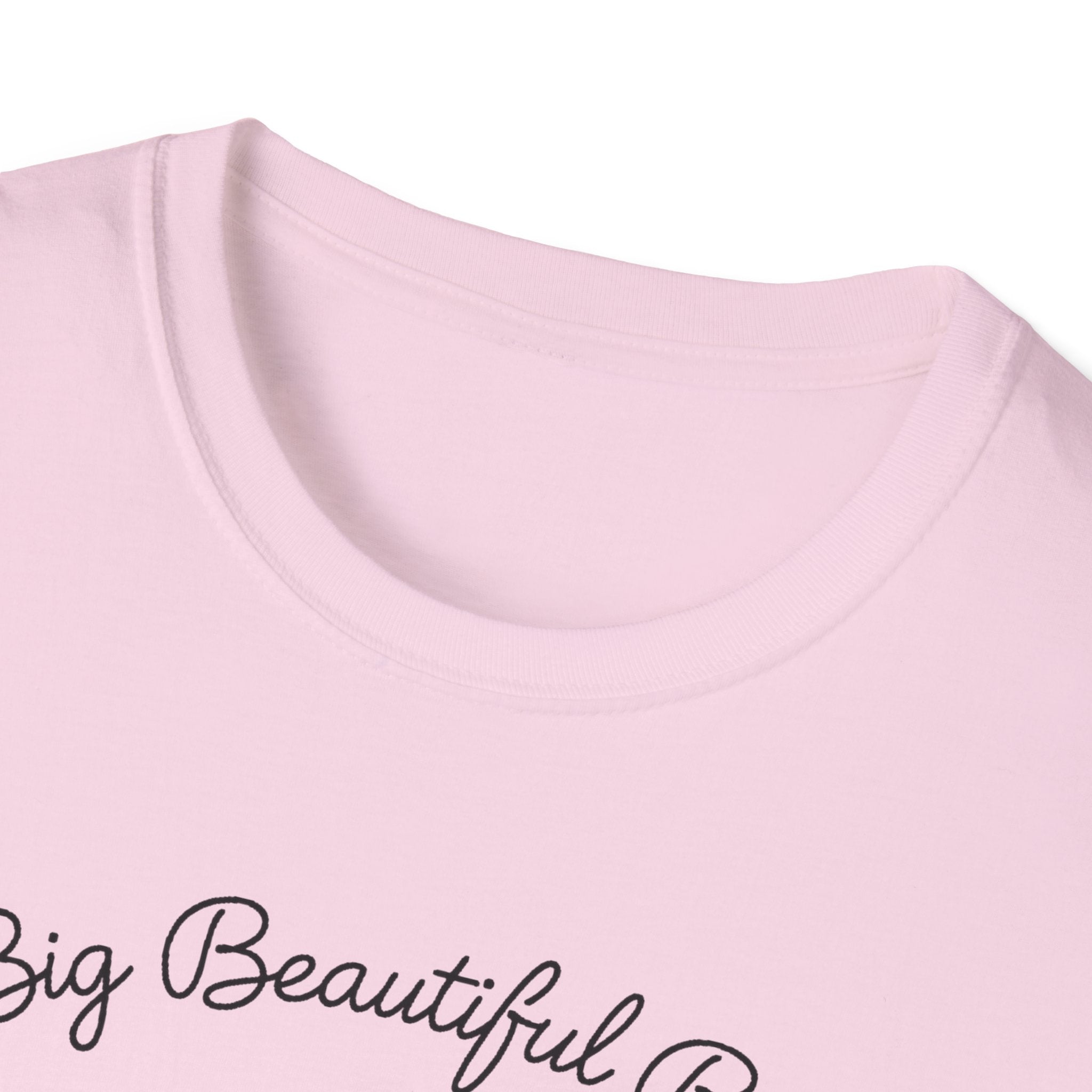 Big Beautiful Bill T-Shirt
