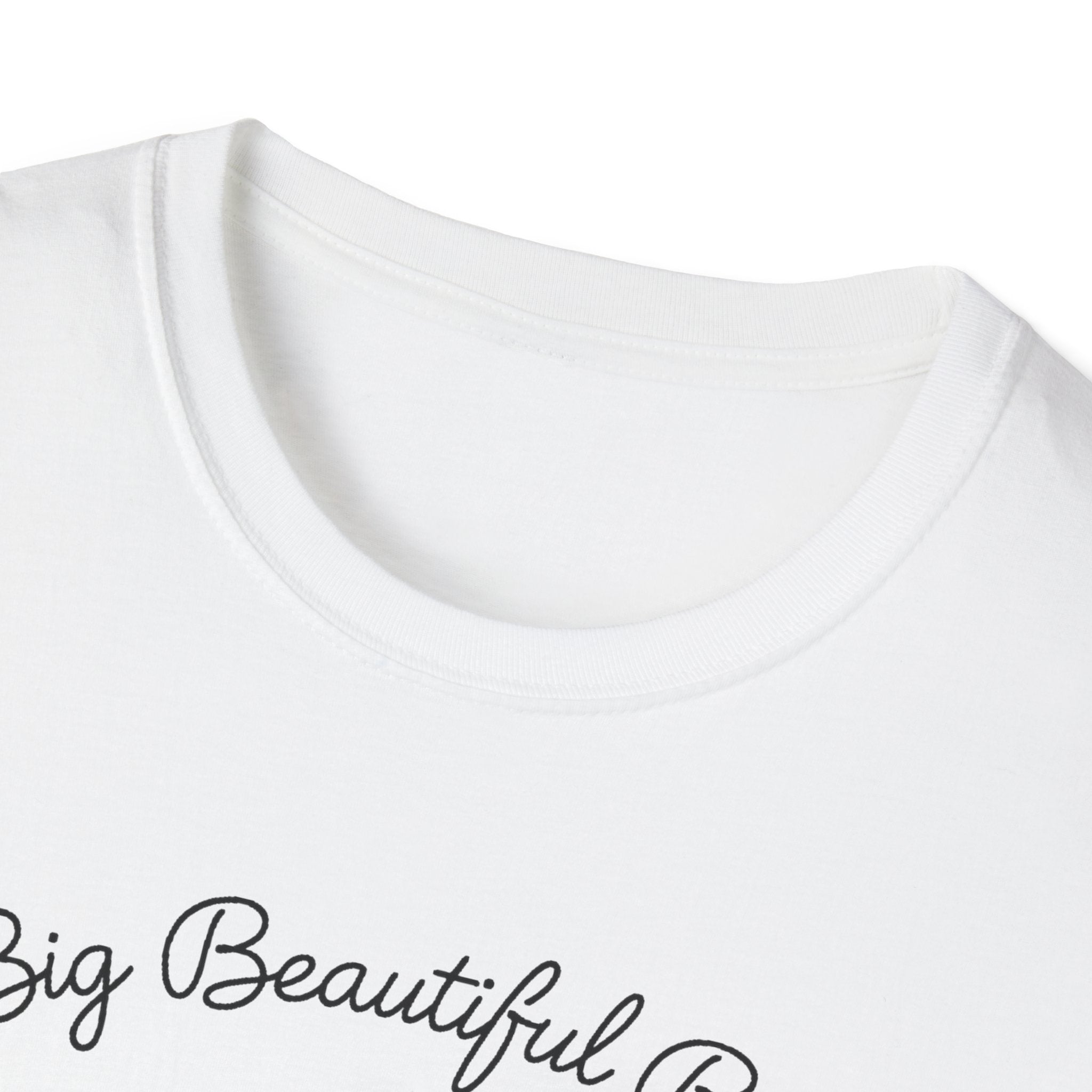 Big Beautiful Bill T-Shirt