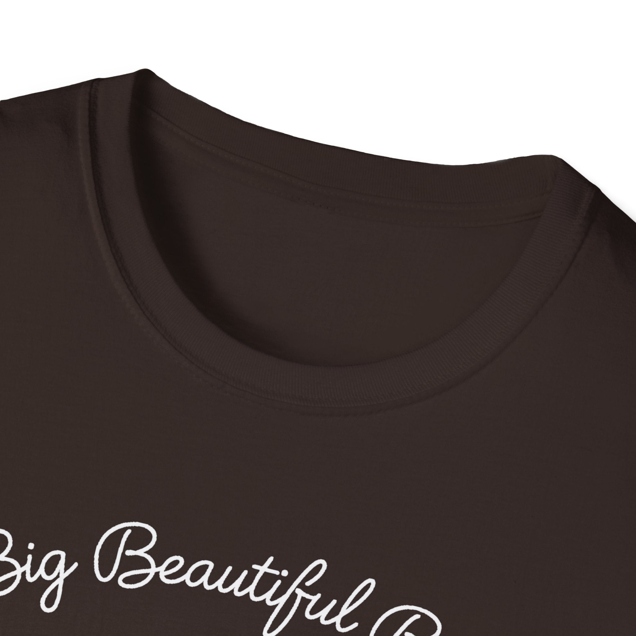 Big Beautiful Bill T-Shirt